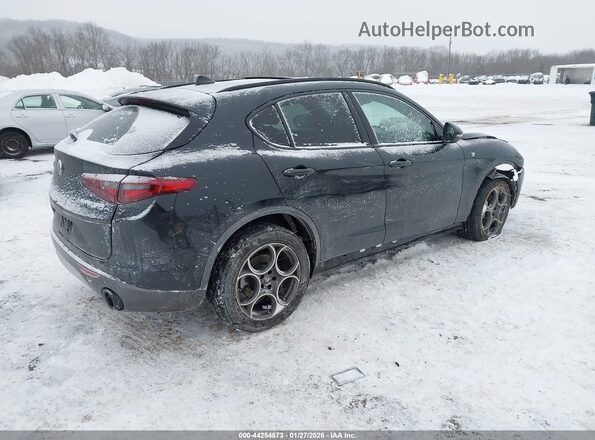 ZASPAKBN4P7D57061 2023 ALFA ROMEO STELVIO Black Trasero derecho