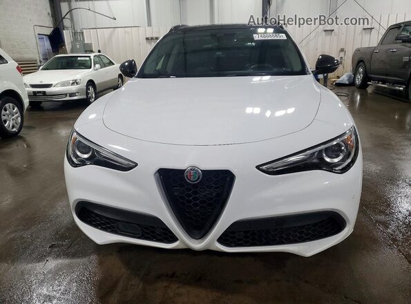 ZASPAKBN6L7C97097 2020 ALFA ROMEO STELVIO White 