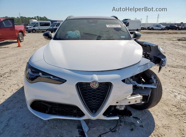ZASPAKBN7R7D78439 2024 ALFA ROMEO STELVIO White Вид спереду