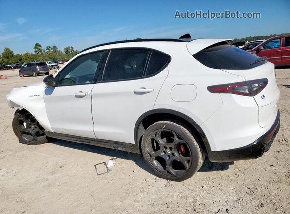 ZASPAKBN7R7D78439 2024 ALFA ROMEO STELVIO White Задня ліва чверть