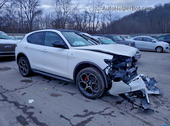 ZASPAKBN7R7D80448 2024 ALFA ROMEO STELVIO White Առջևի աջ