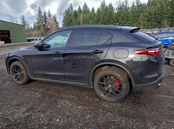 ZASPAKBNXK7C43073 2019 ALFA ROMEO STELVIO Black Задня ліва чверть