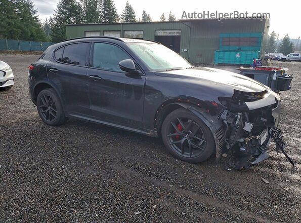 ZASPAKBNXK7C43073 2019 ALFA ROMEO STELVIO Black Передня права чверть