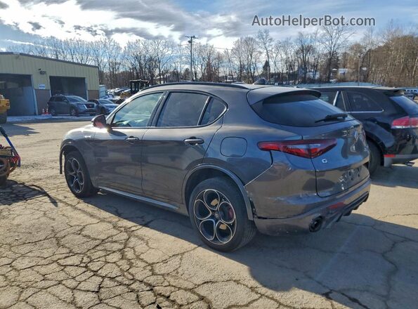 ZASPAKBNXN7D48216 2022 ALFA ROMEO STELVIO Gray Tył lewy