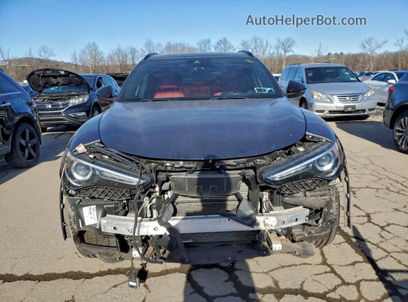 ZASPAKBNXN7D48216 2022 ALFA ROMEO STELVIO Gray Widok z przodu