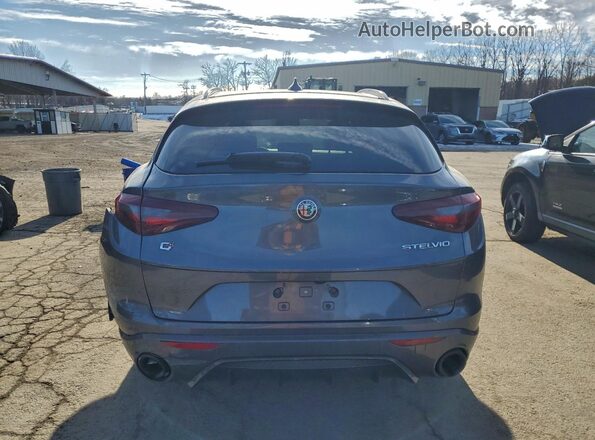 ZASPAKBNXN7D48216 2022 ALFA ROMEO STELVIO Gray Widok z tyłu