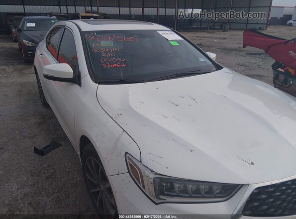 19UUB1F3XKA001092 2019 ACURA TLX Белый Вид спереди