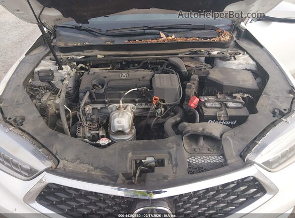 19UUB1F3XKA001092 2019 ACURA TLX Белый Вид сзади