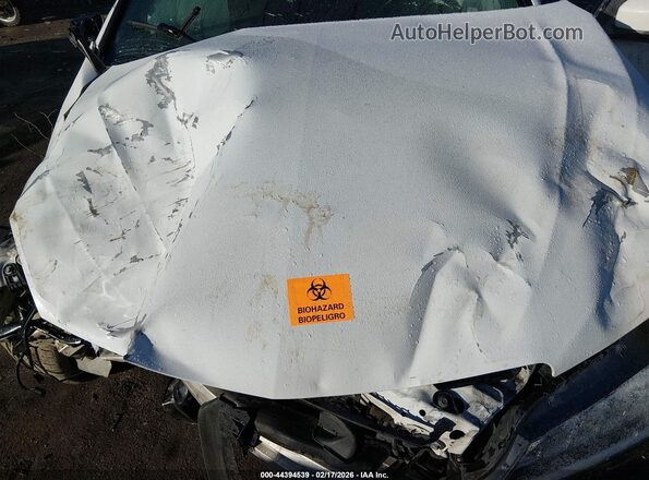 19UUB2F58HA000510 2017 ACURA TLX White Widok z tyłu