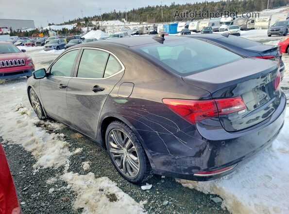 19UUB3F70HA800869 2017 ACURA TLX Brown Задня ліва чверть
