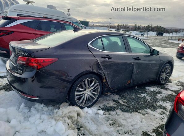 19UUB3F70HA800869 2017 ACURA TLX Brown Задня права чверть