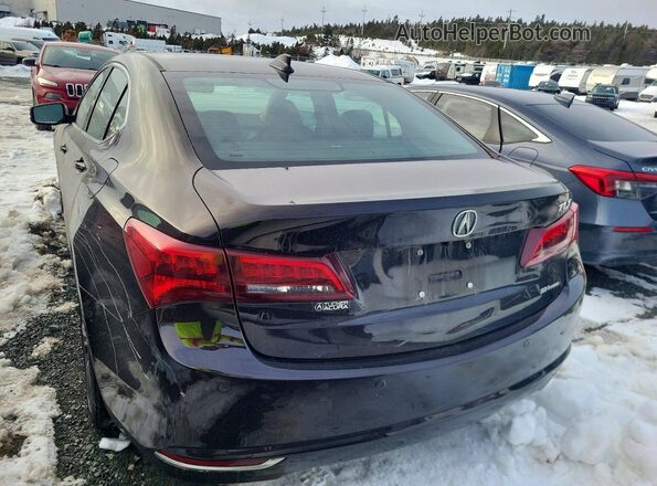 19UUB3F70HA800869 2017 ACURA TLX Brown Вид ззаду