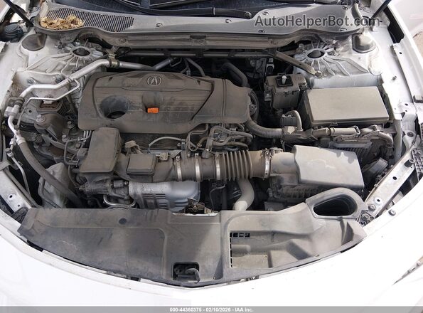 19UUB5F45MA007014 2021 ACURA TLX White უკანა ხედი