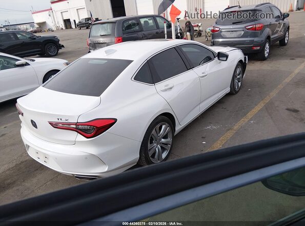 19UUB5F45MA007014 2021 ACURA TLX White უკანა მარჯვენა