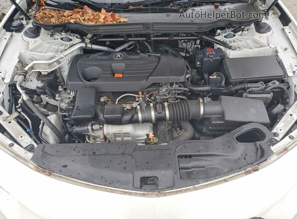 19UUB6F50PA000314 2023 ACURA TLX Белый Вид задней части салона