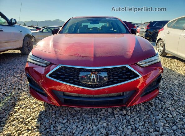 19UUB6F63MA008346 2021 ACURA TLX Red 