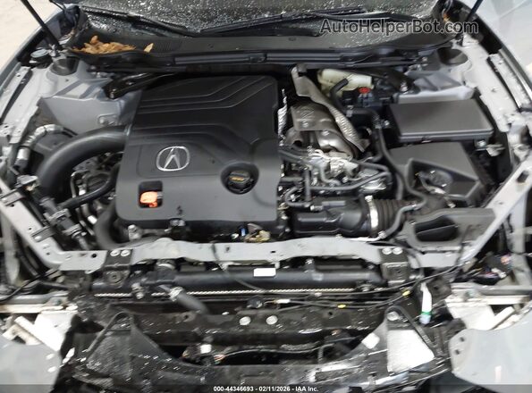 19UUB7F08SA000046 2025 ACURA TLX Gray Widok z tyłu