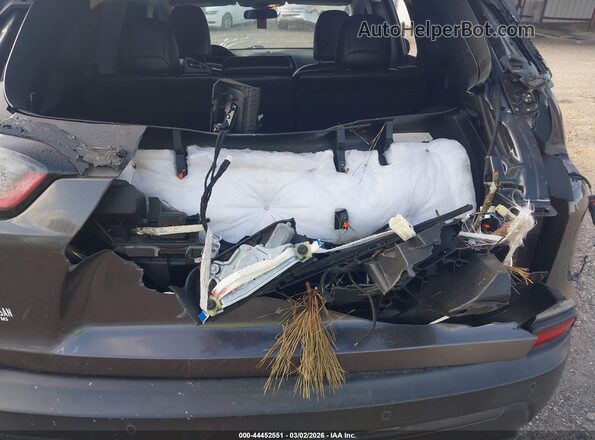 1C4PJLLB9LD531009 2020 JEEP CHEROKEE Gray ხელსაწყოთა პანელის ხედი
