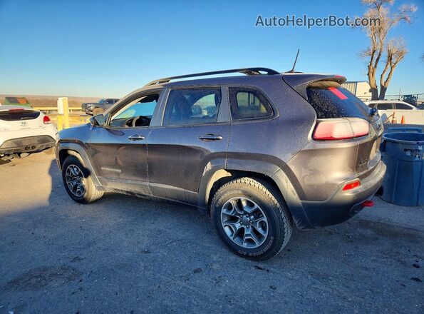 1C4PJMBN3PD104982 2023 JEEP CHEROKEE Серый Задняя левая четверть