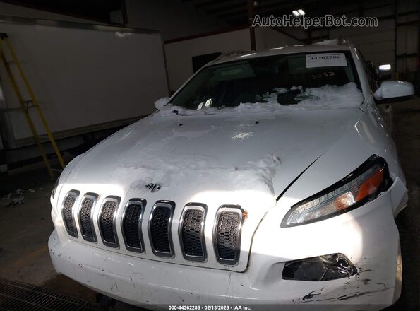 1C4PJMDB0HW512252 2017 JEEP CHEROKEE White Вид щитка приладів