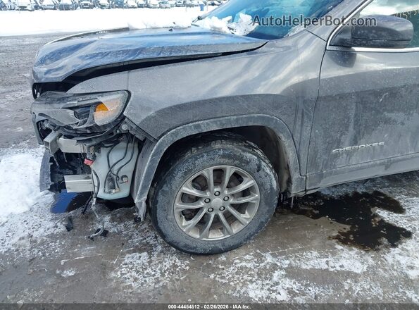 1C4PJMLB3LD530928 2020 JEEP CHEROKEE Gray Front view