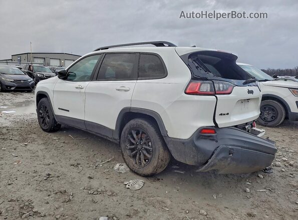 1C4PJMMB6PD107460 2023 JEEP CHEROKEE White უკანა მარცხენა