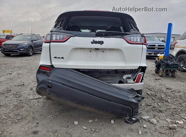 1C4PJMMB6PD107460 2023 JEEP CHEROKEE White უკანა ხედი