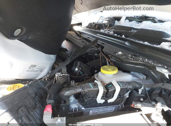 1C6RRFGG3SN698829 2025 RAM 1500 Белый 