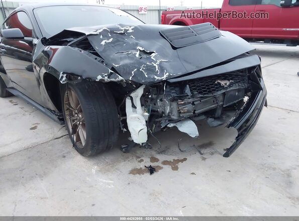 1FA6P8CF6R5421103 2024 FORD MUSTANG Black Vista frontal