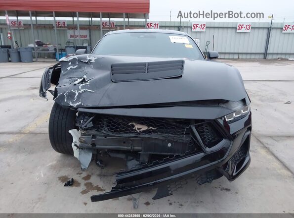 1FA6P8CF6R5421103 2024 FORD MUSTANG Black Vista interior trasera
