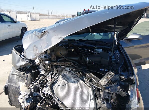 1FA6P8CFXM5125610 2021 FORD MUSTANG Gray Հետևի տեսք