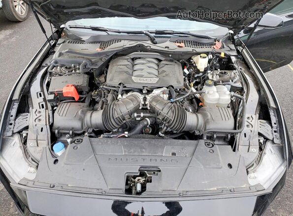 1FA6P8CFXR5430399 2024 FORD MUSTANG Black Widok wnętrza z tyłu