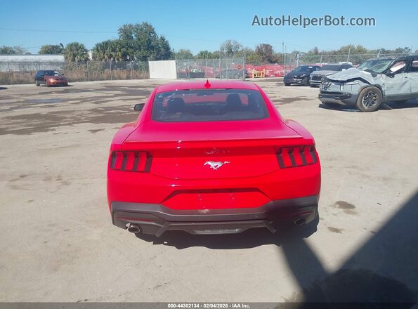 1FA6P8TH2R5133208 2024 FORD MUSTANG Красный 