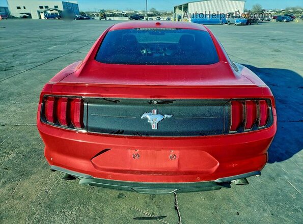 1FA6P8TH4K5201532 2019 FORD MUSTANG Red 