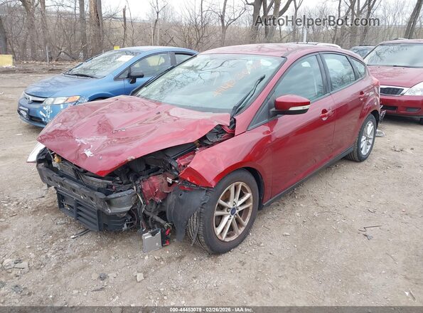 1FADP3K21GL226978 2016 FORD FOCUS Red Առջևի ձախ երեք քառորդ տեսարան