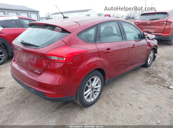 1FADP3K21GL226978 2016 FORD FOCUS Red Հետևի աջ