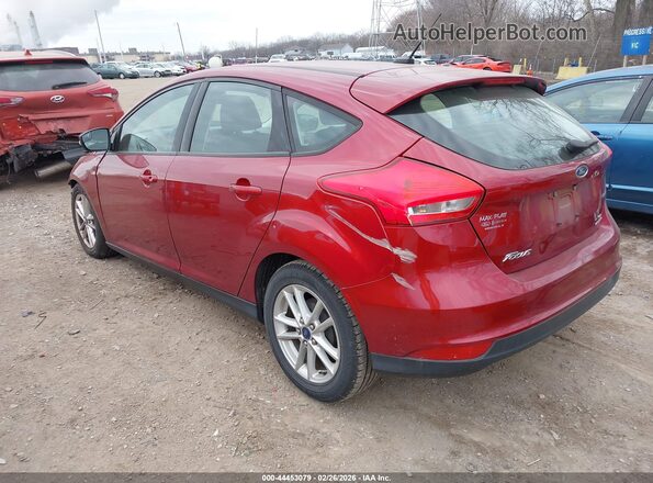 1FADP3K21GL226978 2016 FORD FOCUS Red Հետևի ձախ