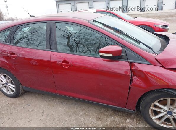 1FADP3K21GL226978 2016 FORD FOCUS Red Սալոնի 360 աստիճան տեսք
