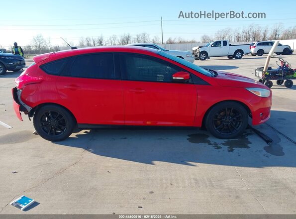 1FADP3K22GL239321 2016 FORD FOCUS Red Սալոնի հետևի տեսք