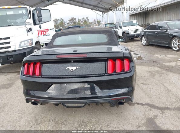 1FATP8UH3H5292996 2017 FORD MUSTANG Black 