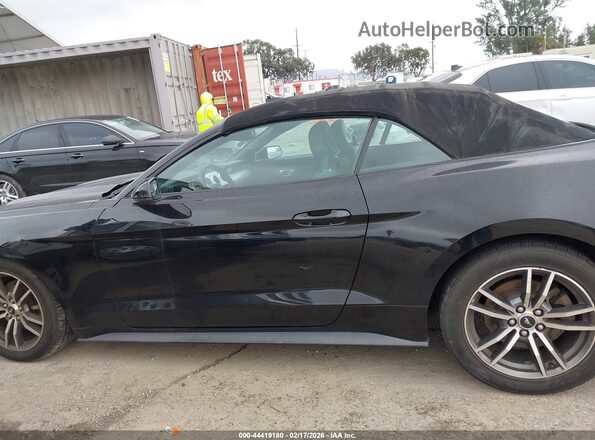 1FATP8UH3H5292996 2017 FORD MUSTANG Black 