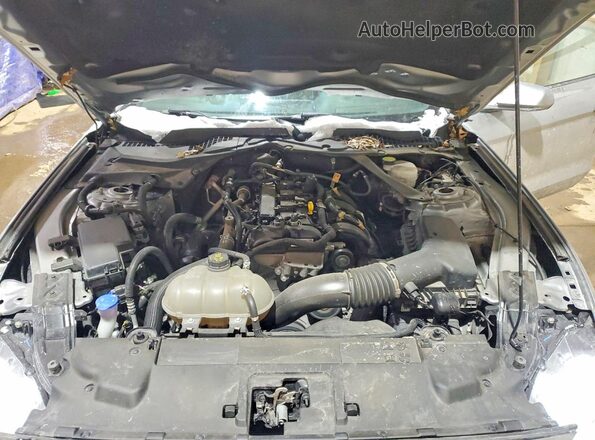 1FATP8UH3P5110230 2023 FORD MUSTANG Серебряный Вид задней части салона