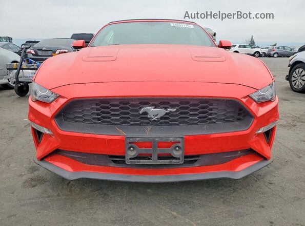 1FATP8UH9K5138512 2019 FORD MUSTANG Red 