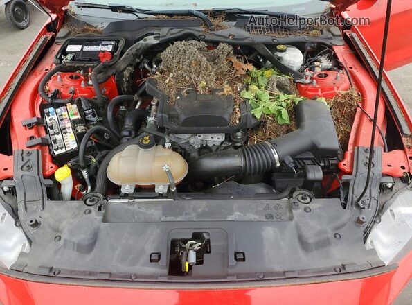 1FATP8UH9K5138512 2019 FORD MUSTANG Red 