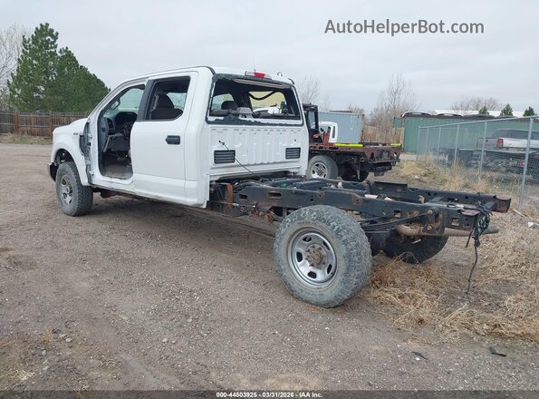 1FD7W2B67HEC90502 2017 FORD F-250 Белый 