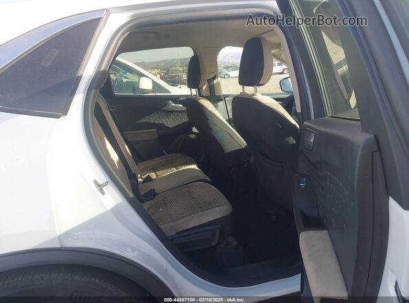 1FMCU0G66LUB80928 2020 FORD ESCAPE White Widok naklejki z numerem VIN