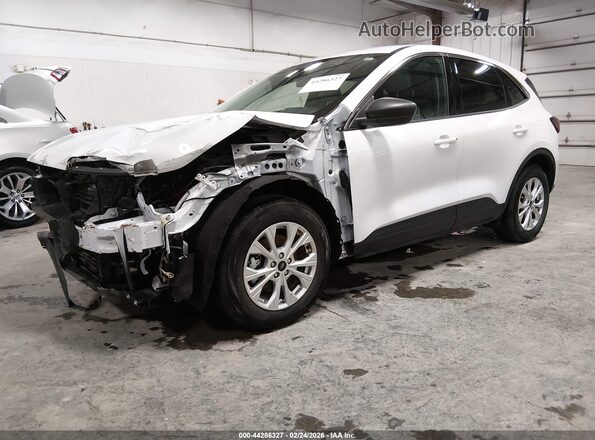1FMCU0GN0RUB36522 2024 FORD ESCAPE White 