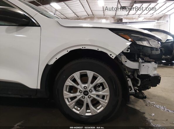 1FMCU0GN0RUB36522 2024 FORD ESCAPE White 