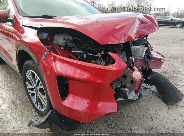 1FMCU0H67LUC28676 2020 FORD ESCAPE Red 