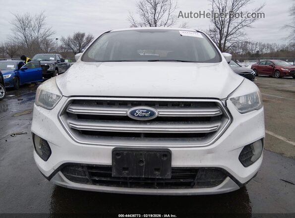 1FMCU9G98HUB05167 2017 FORD ESCAPE White Вид щитка приладів